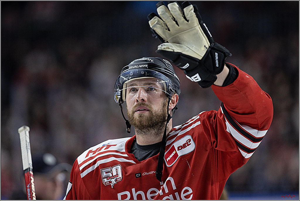 PENNY DEL;  Koelner Haie - Straubing Tigers; Koeln, 28.12.2022